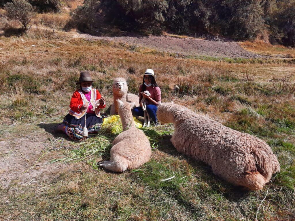 DESTINOS D5d72619 0d47 4cd0 9c78 0c887967847f 1024x768